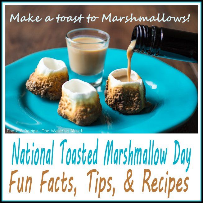 National Toasted Marshmallow Day Country Graphics™